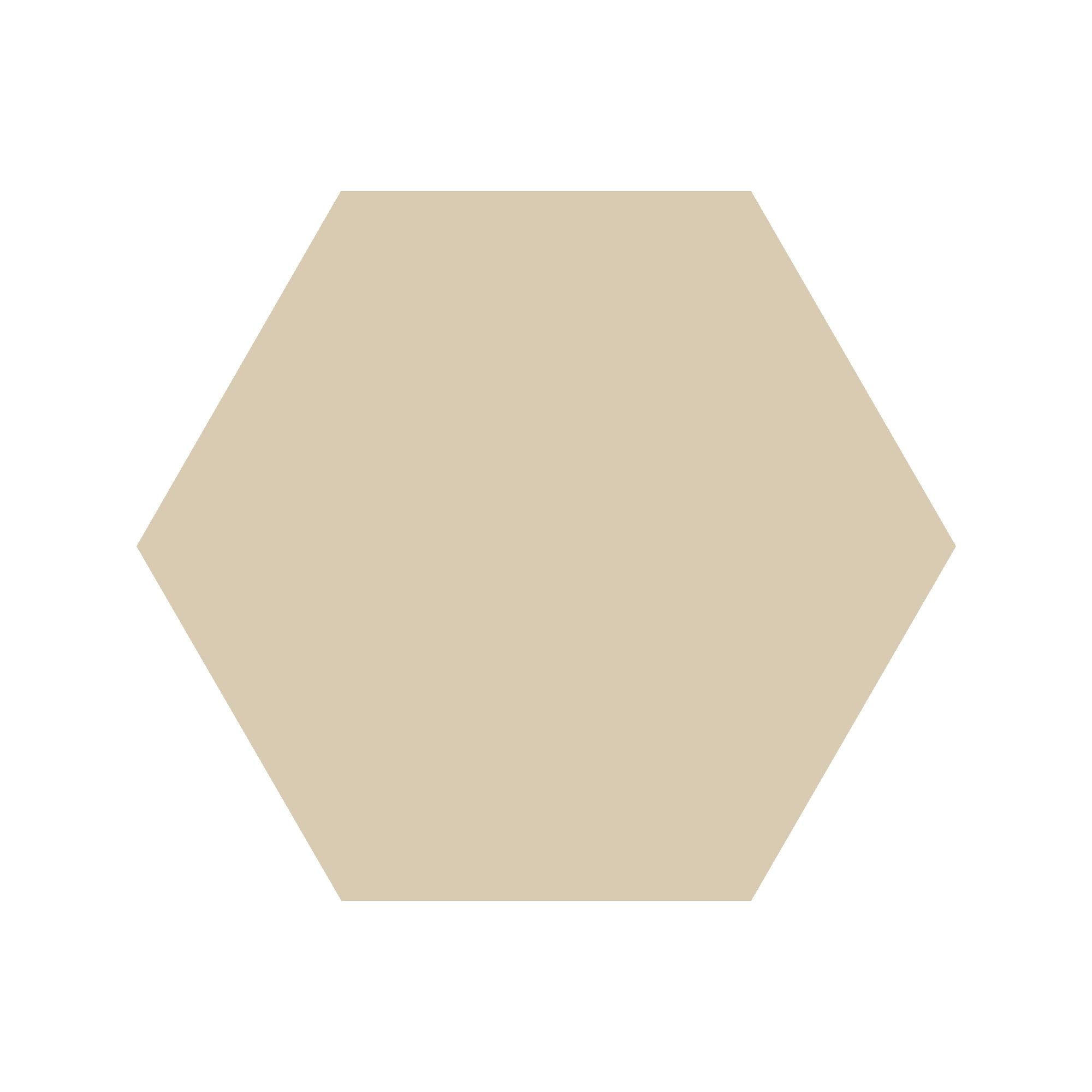 Equilateral Hexagon Tile in Ontario