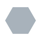 Equilateral Hexagon Tile in Pale Blue