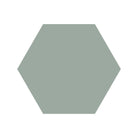 Equilateral Hexagon Tile in Pale Green