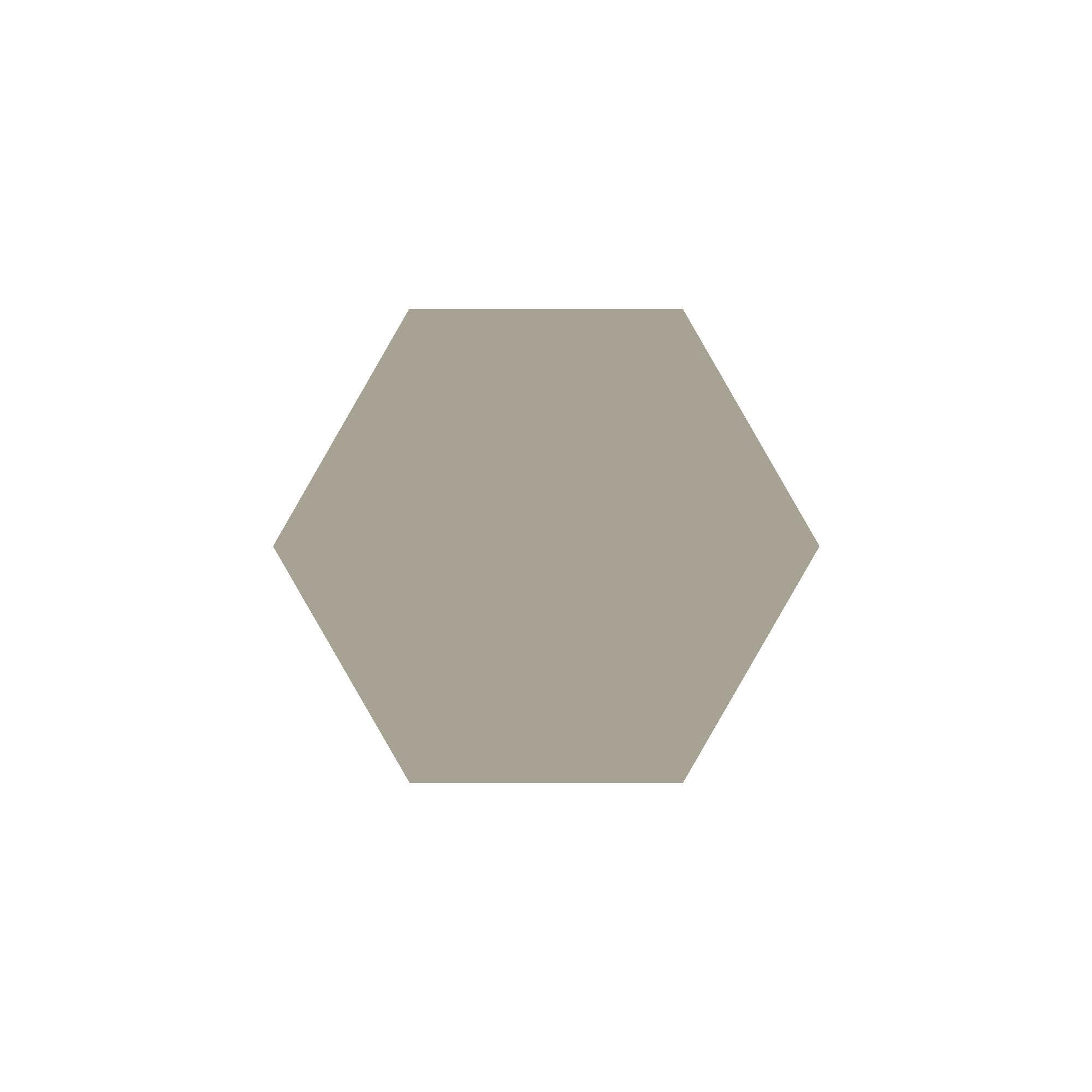 Equilateral Hexagon Tile in Pale Grey