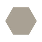 Equilateral Hexagon Tile in Pale Grey