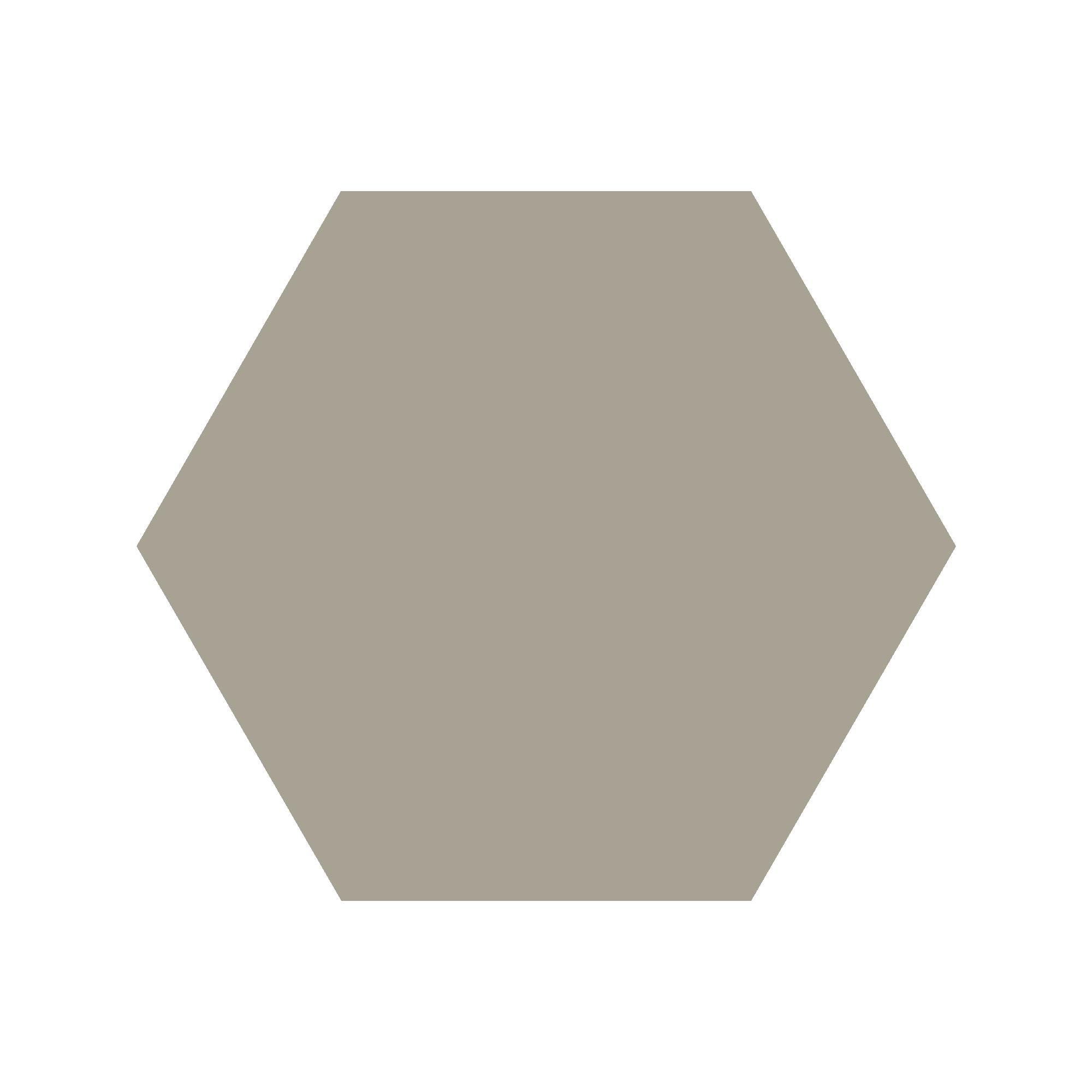 Equilateral Hexagon Tile in Pale Grey