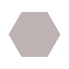 Equilateral Hexagon Tile in Parme