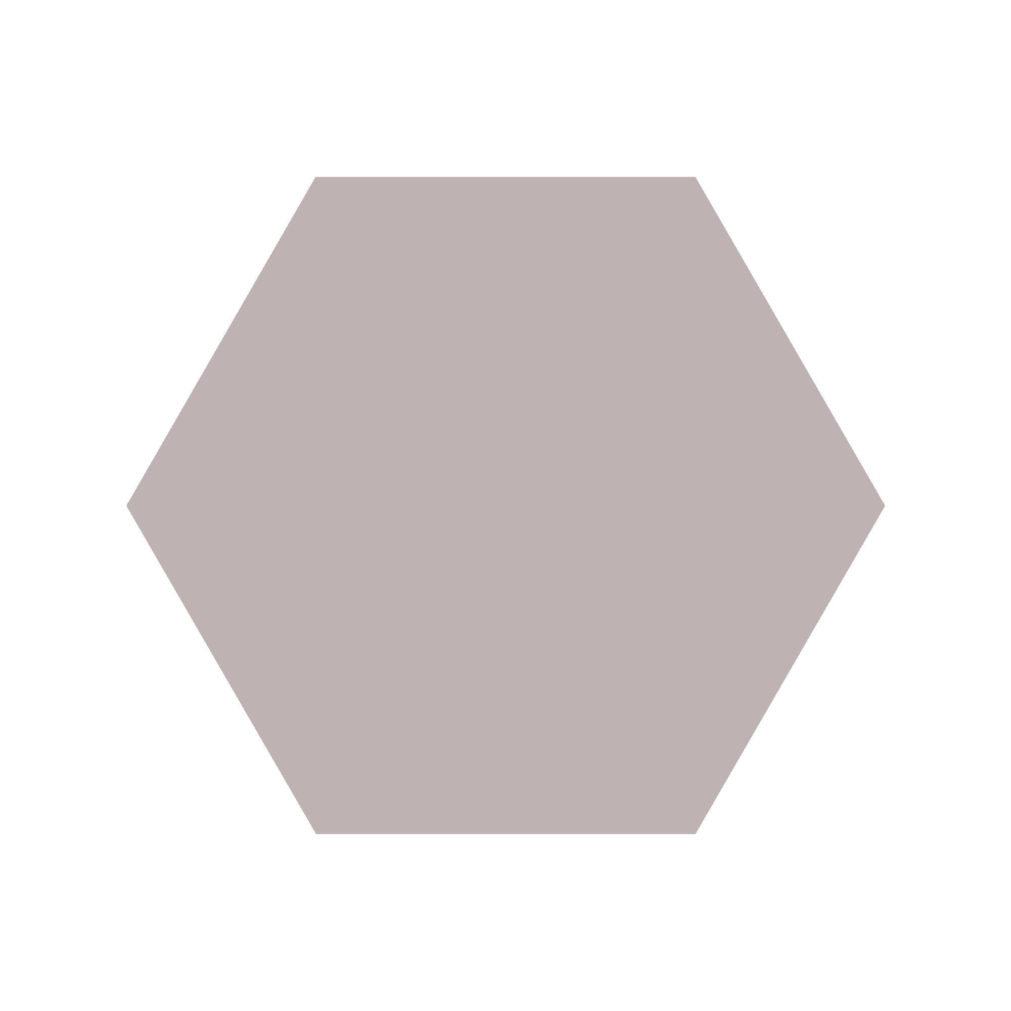 Equilateral Hexagon Tile in Parme