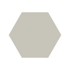 Equilateral Hexagon Tile in Pearl Grey