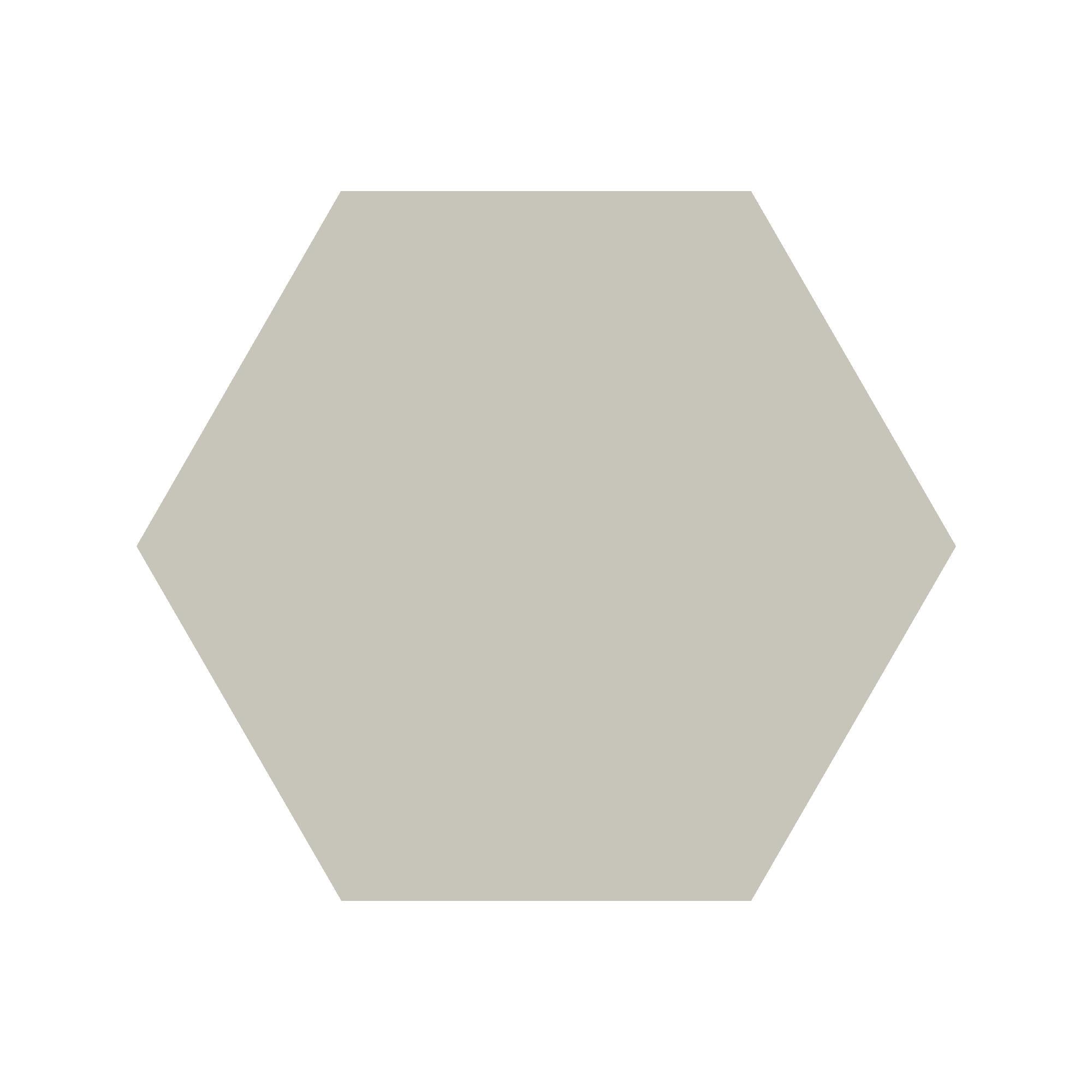 Equilateral Hexagon Tile in Pearl Grey