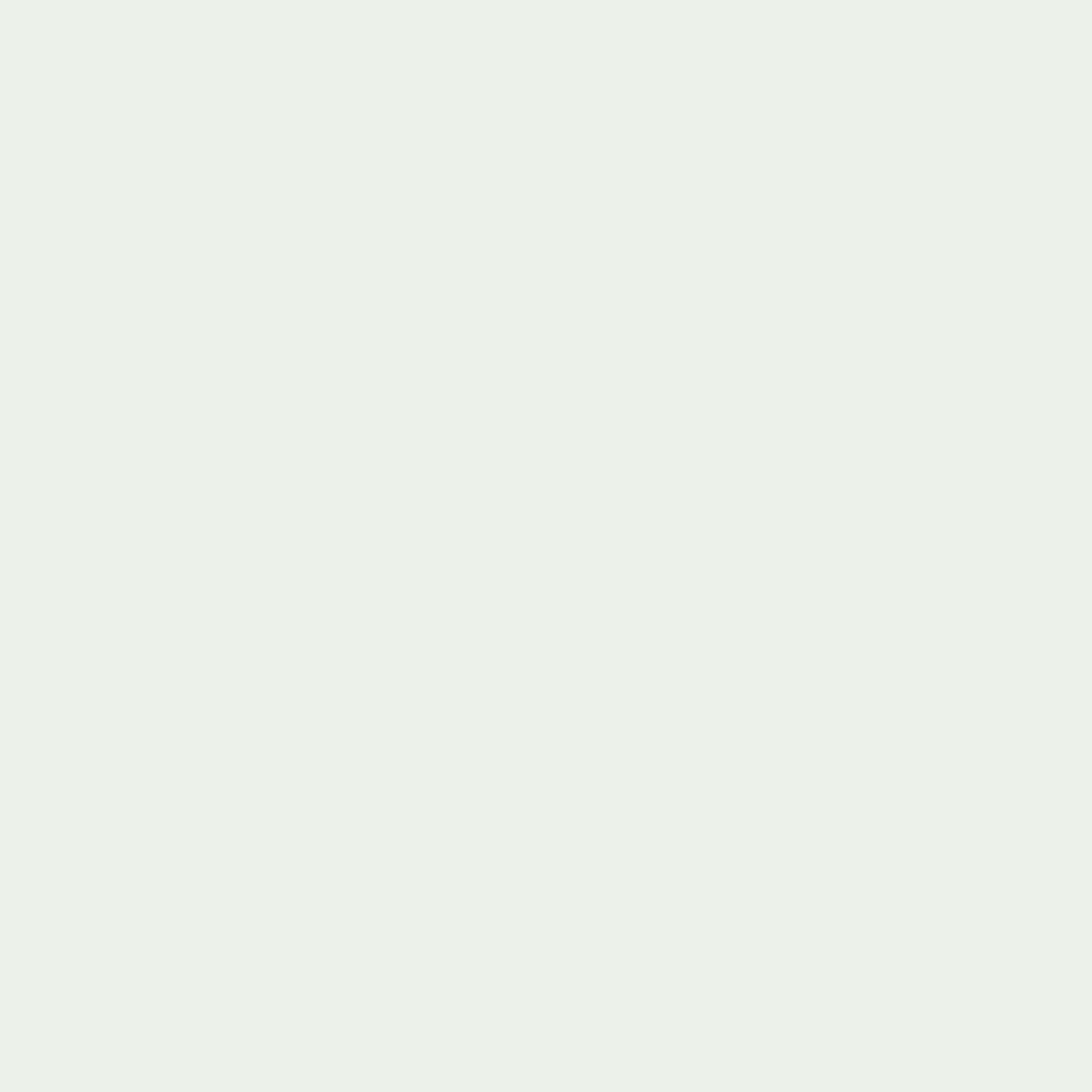 Little Greene's With reference to the common, yet rather striking white bark of ‘betula pendula’ (silver birch), this soft, muted shade is a timeless white. It will hold its colour when used with clean, bright white, but will read as a balanced white in its own right alongside darker greens. Pendula is a understated off-white paint shade which is incredibly easy to live with. Paint