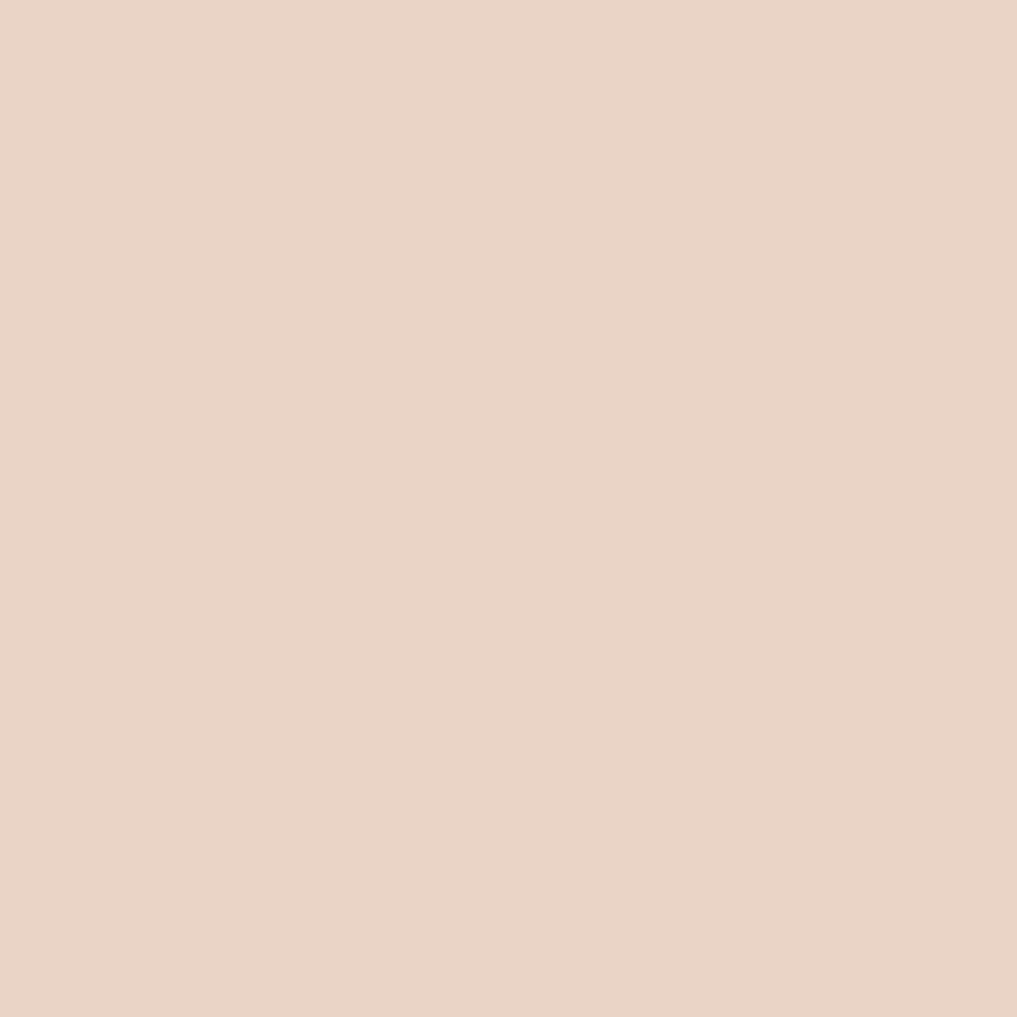 Farrow and Ball's Pink Ground No.202