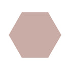 Equilateral Hexagon Tile in Pink