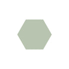 Equilateral Hexagon Tile in Pistachio
