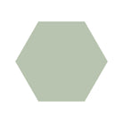 Equilateral Hexagon Tile in Pistachio