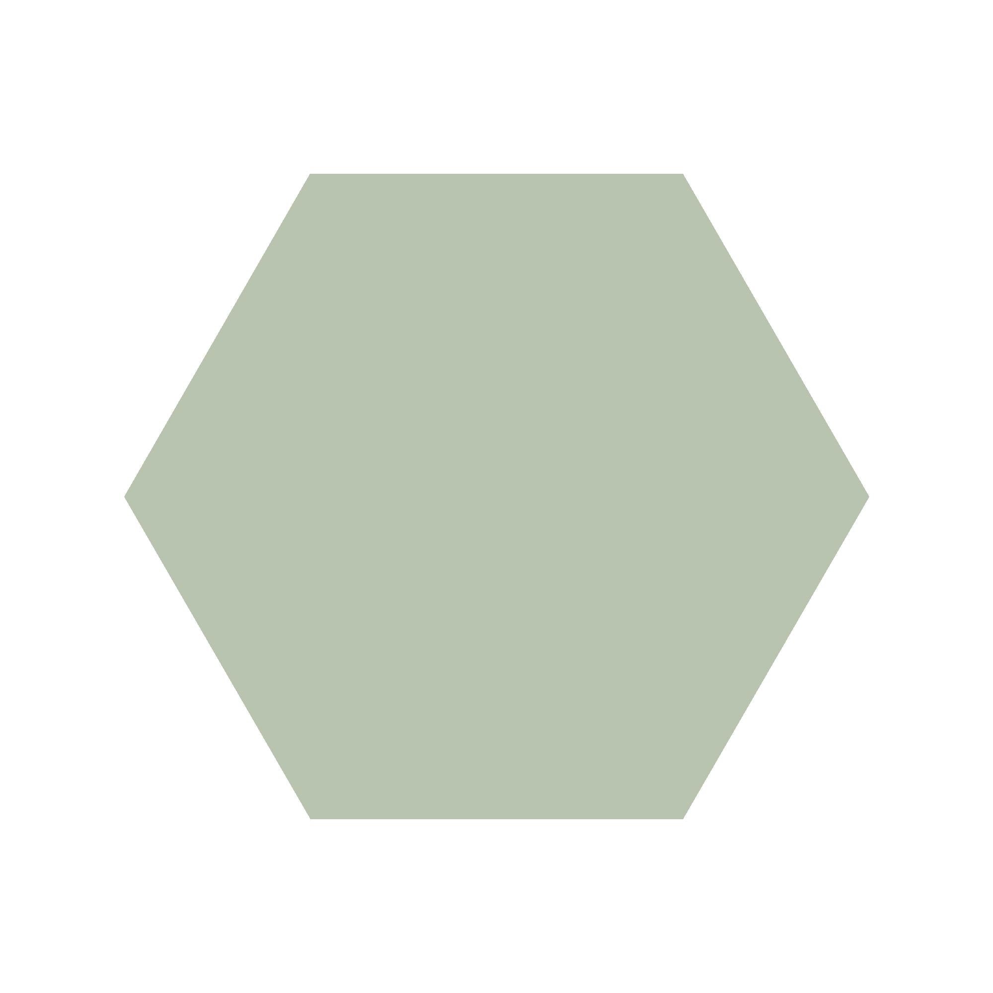 Equilateral Hexagon Tile in Pistachio
