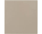 Set of 10 Plain Bone Tiles