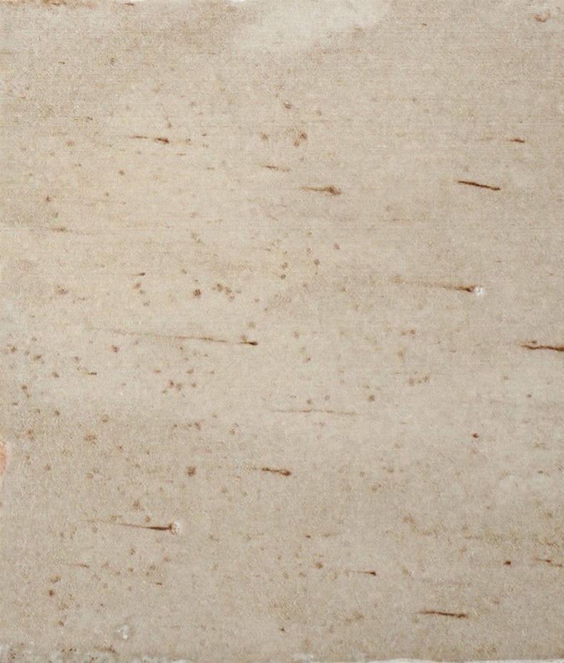 Ca'Pietra's Pottery Porcelain Brick Gloss Tiles