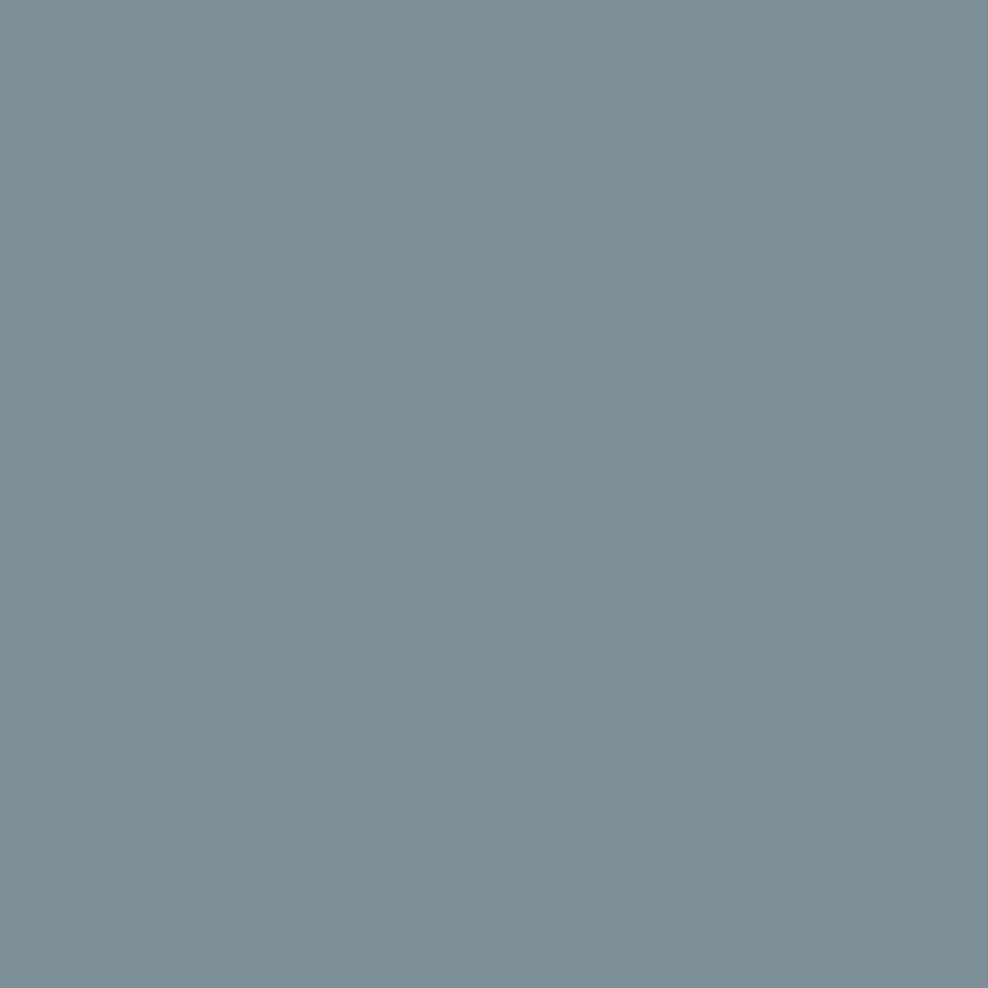 Farrow and Ball's Selvedge No.306