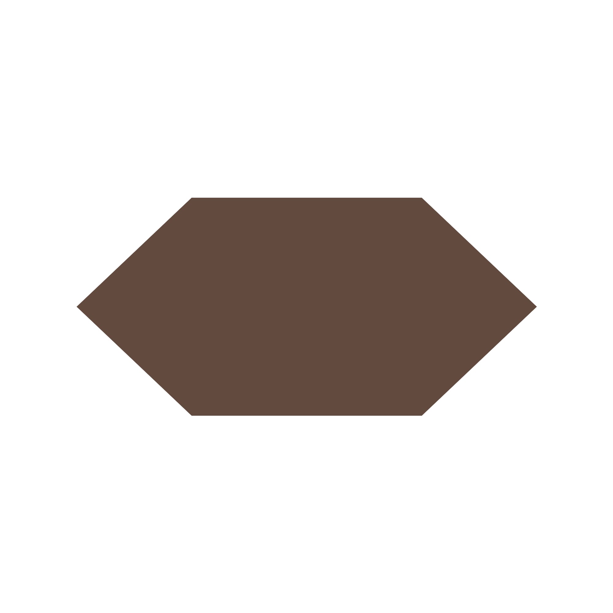 Shuttle Hexagon Tile in Brown