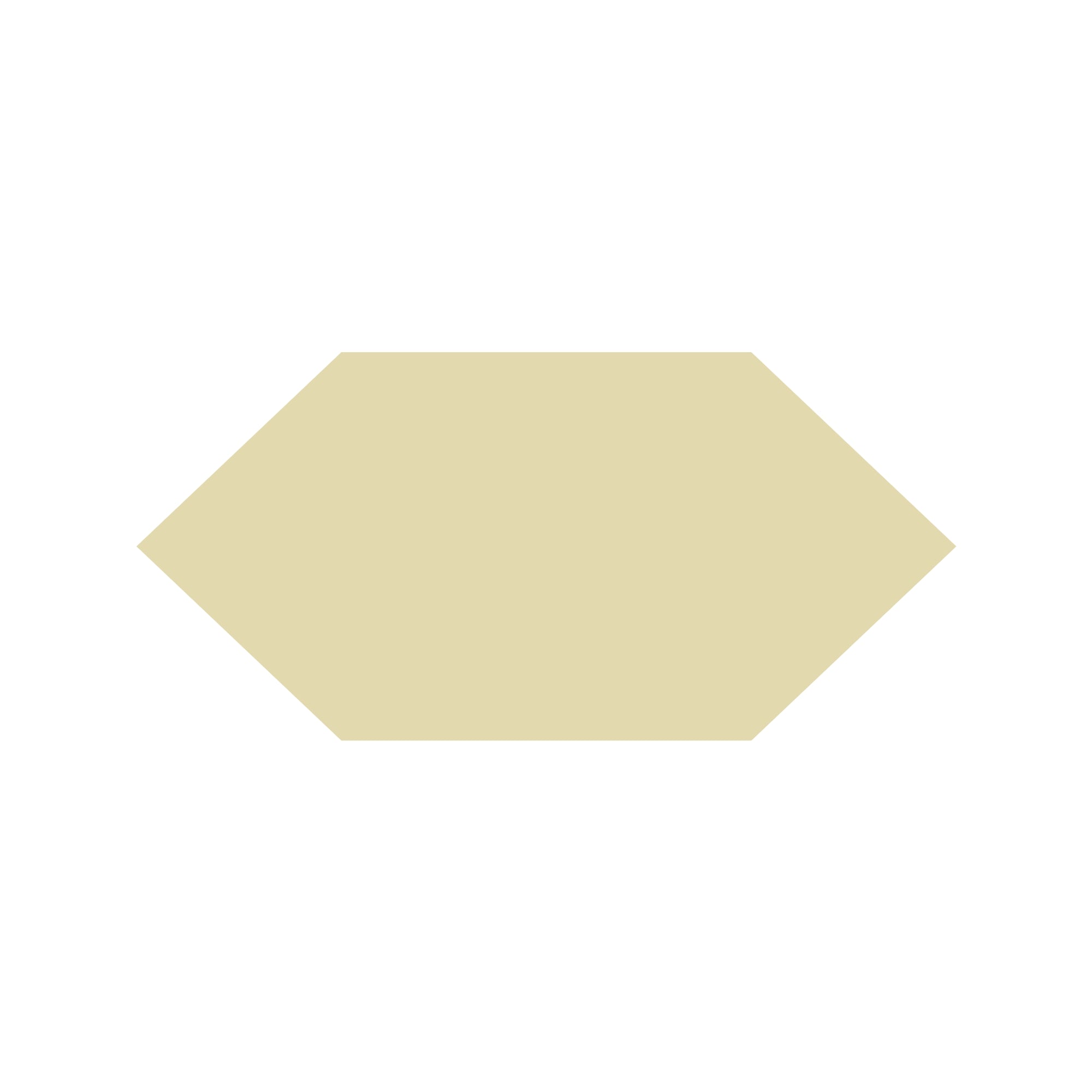 Shuttle Hexagon Tile in Cognac