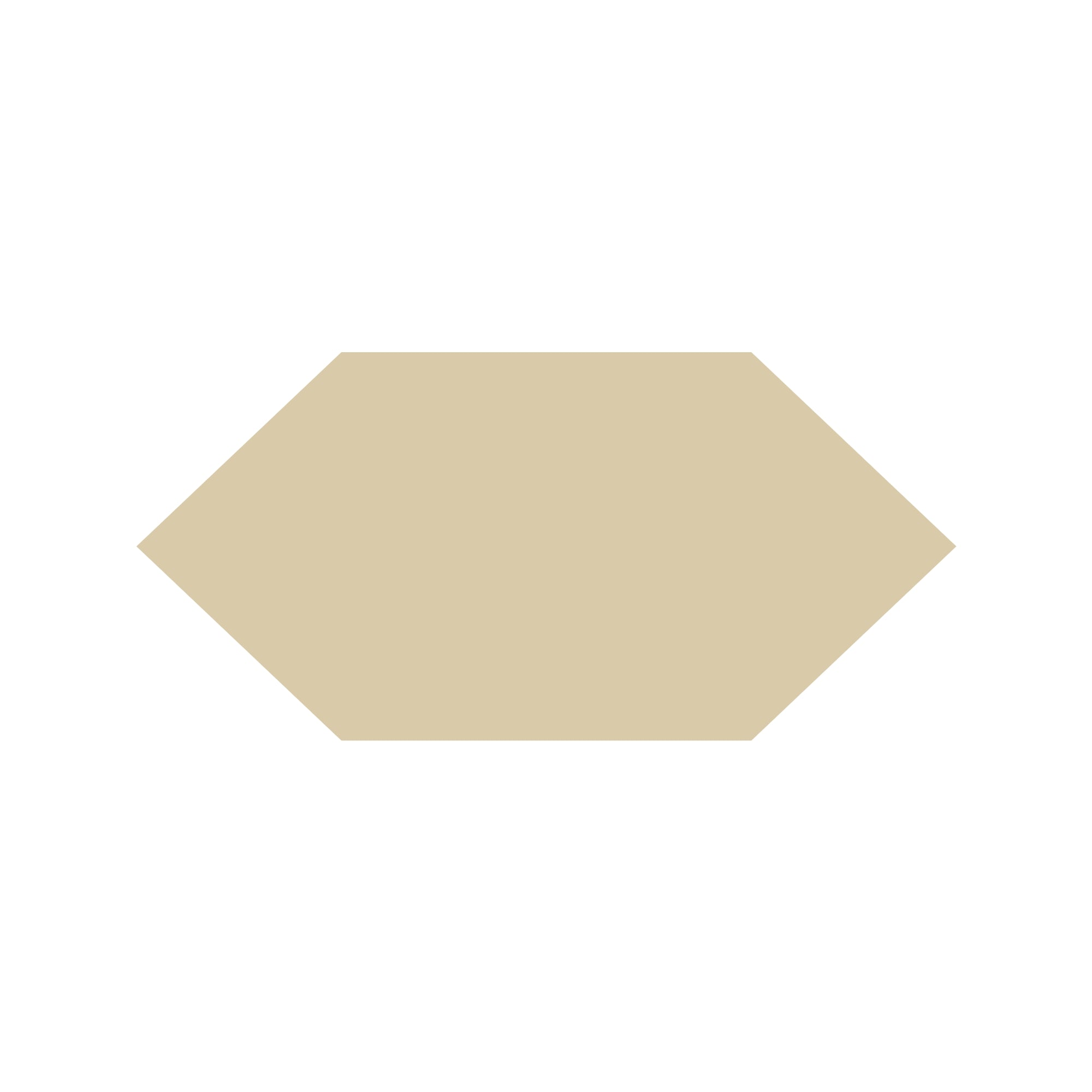 Shuttle Hexagon Tile in Ivory