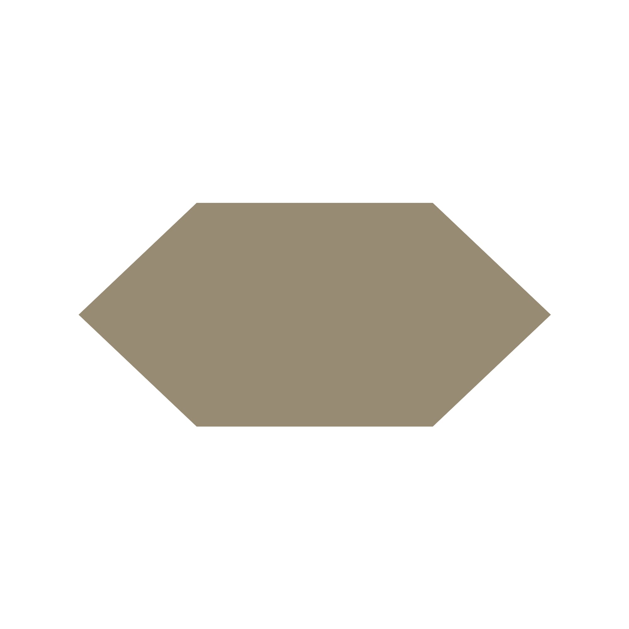 Shuttle Hexagon Tile in Mole