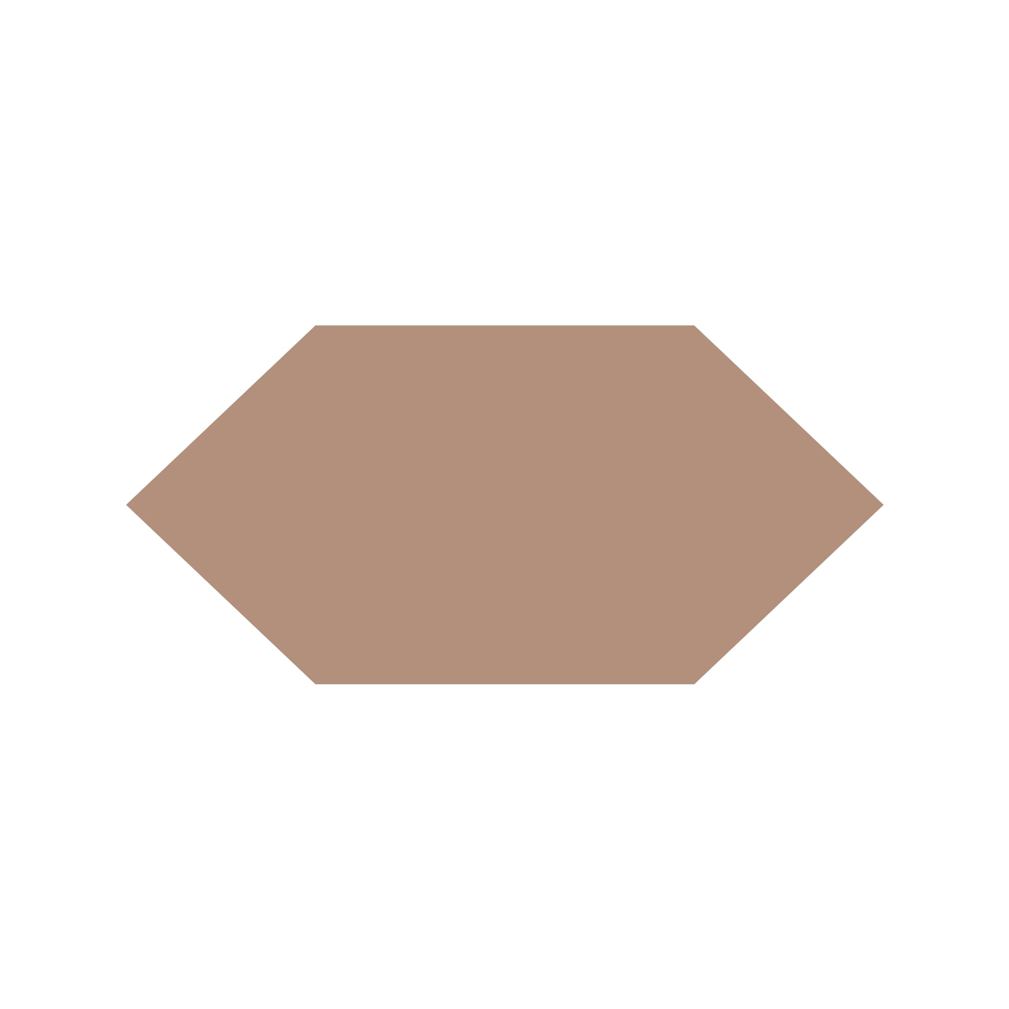 Shuttle Hexagon Tile in Old Pink