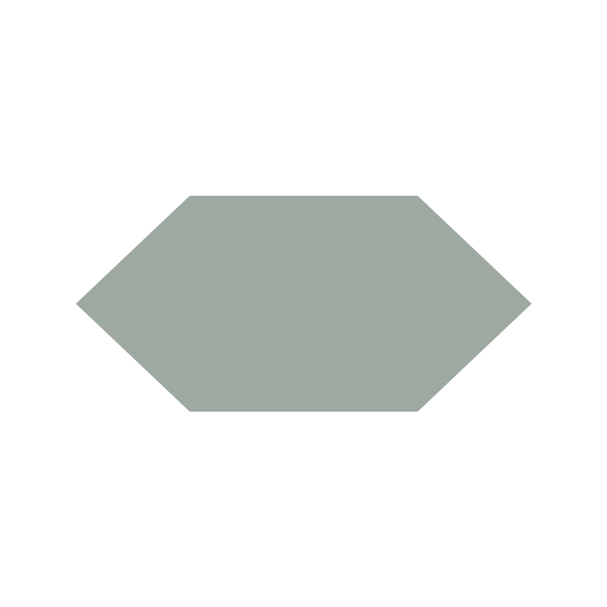 Shuttle Hexagon Tile in Pale Green