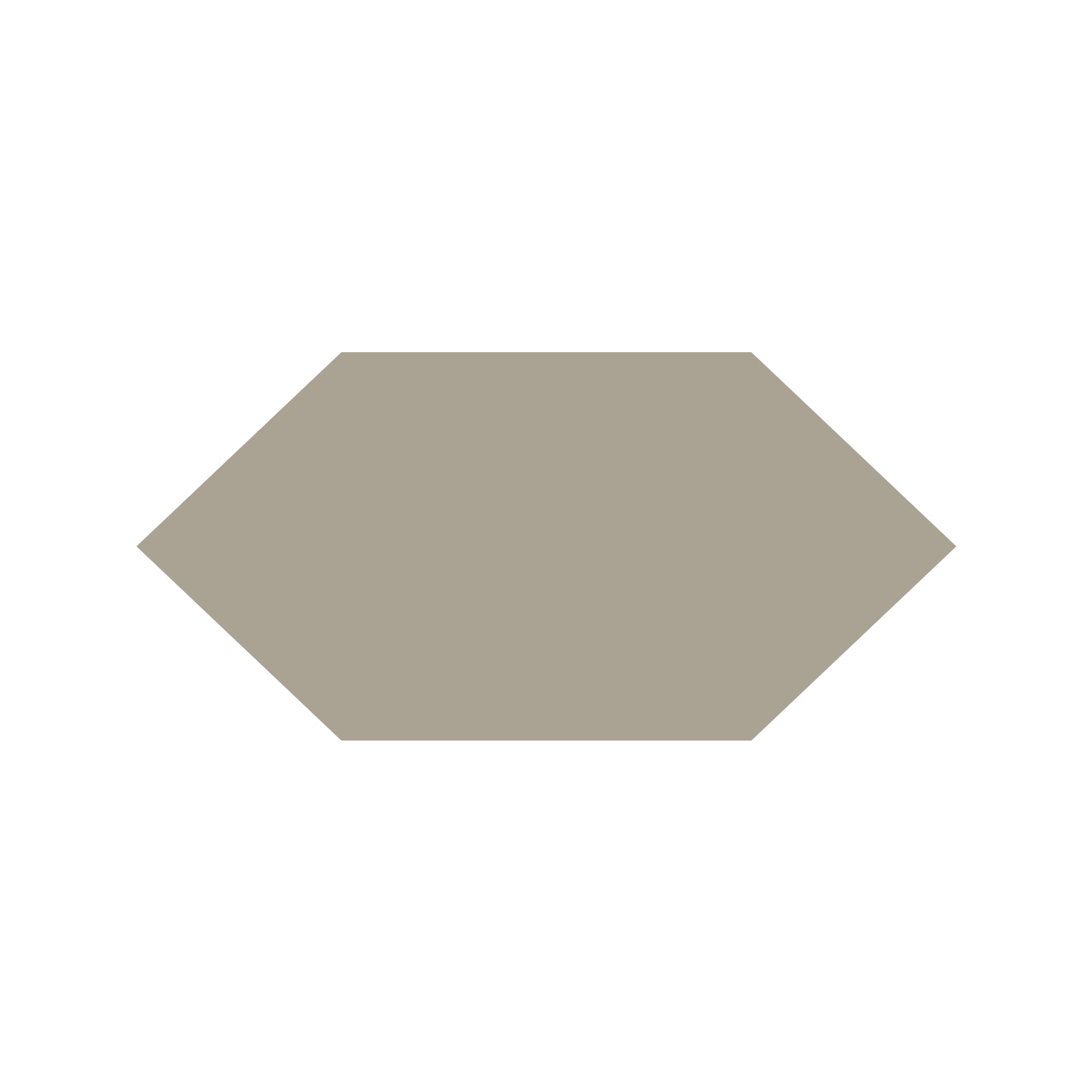 Shuttle Hexagon Tile in Pale Grey
