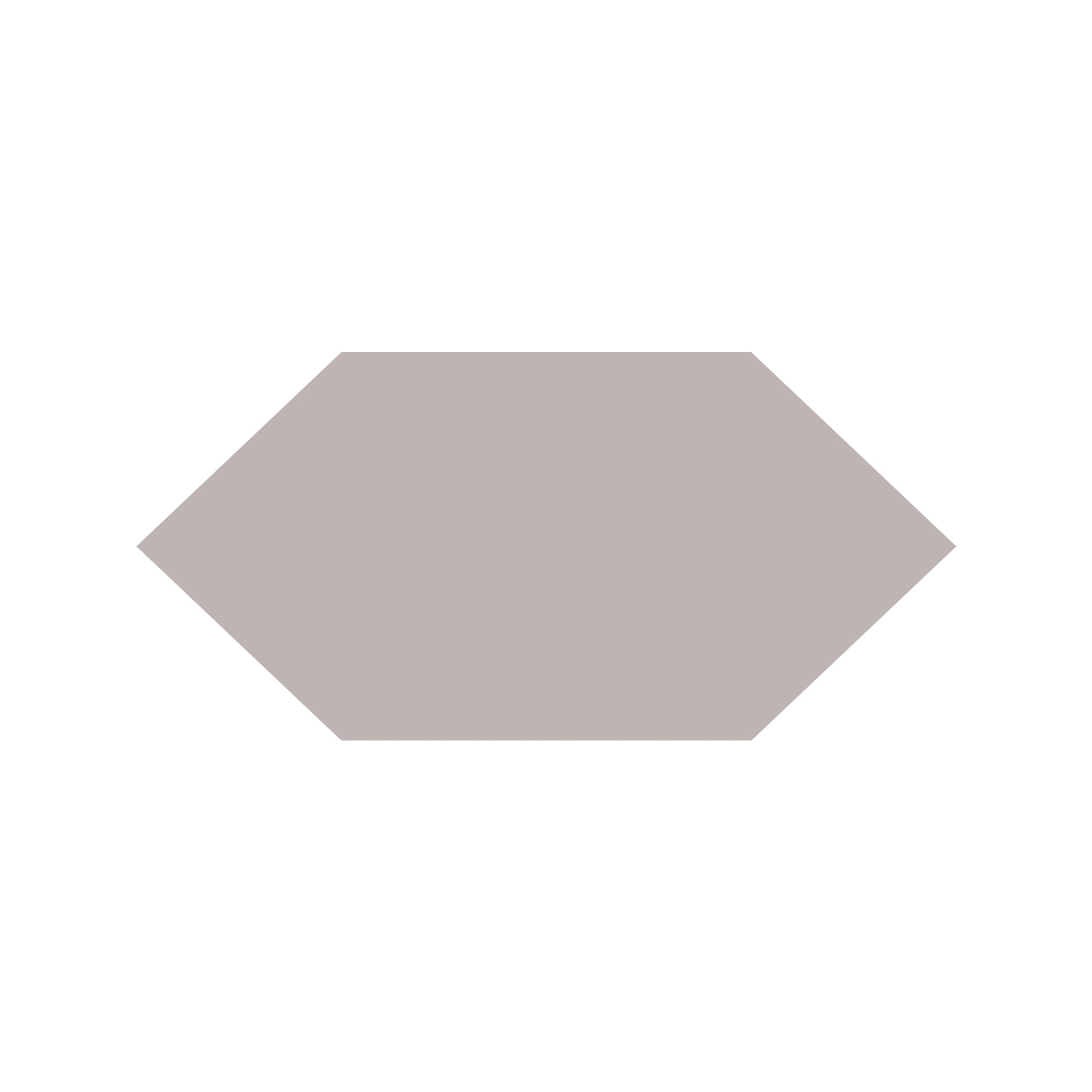 Shuttle Hexagon Tile in Parme