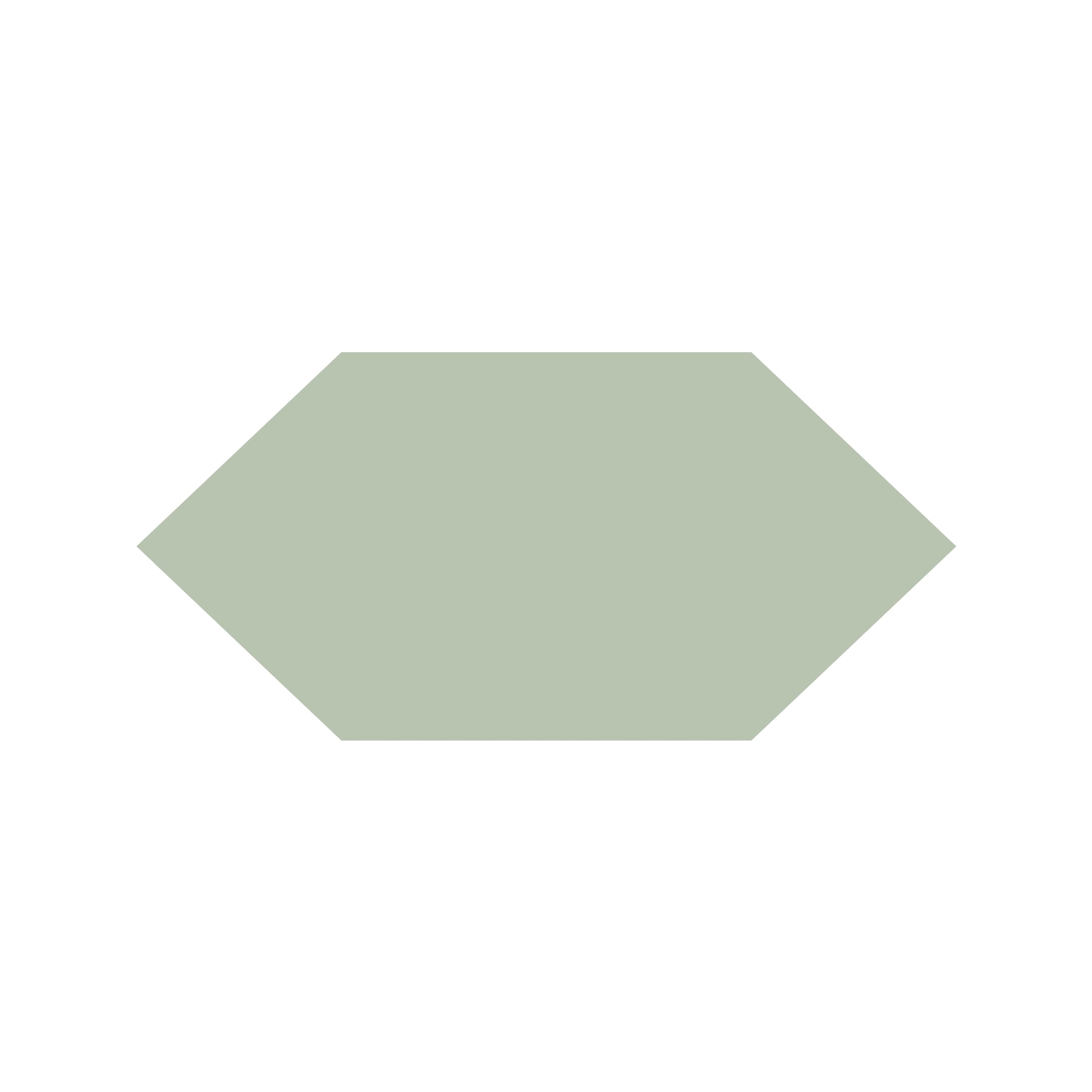 Shuttle Hexagon Tile in Pistachio