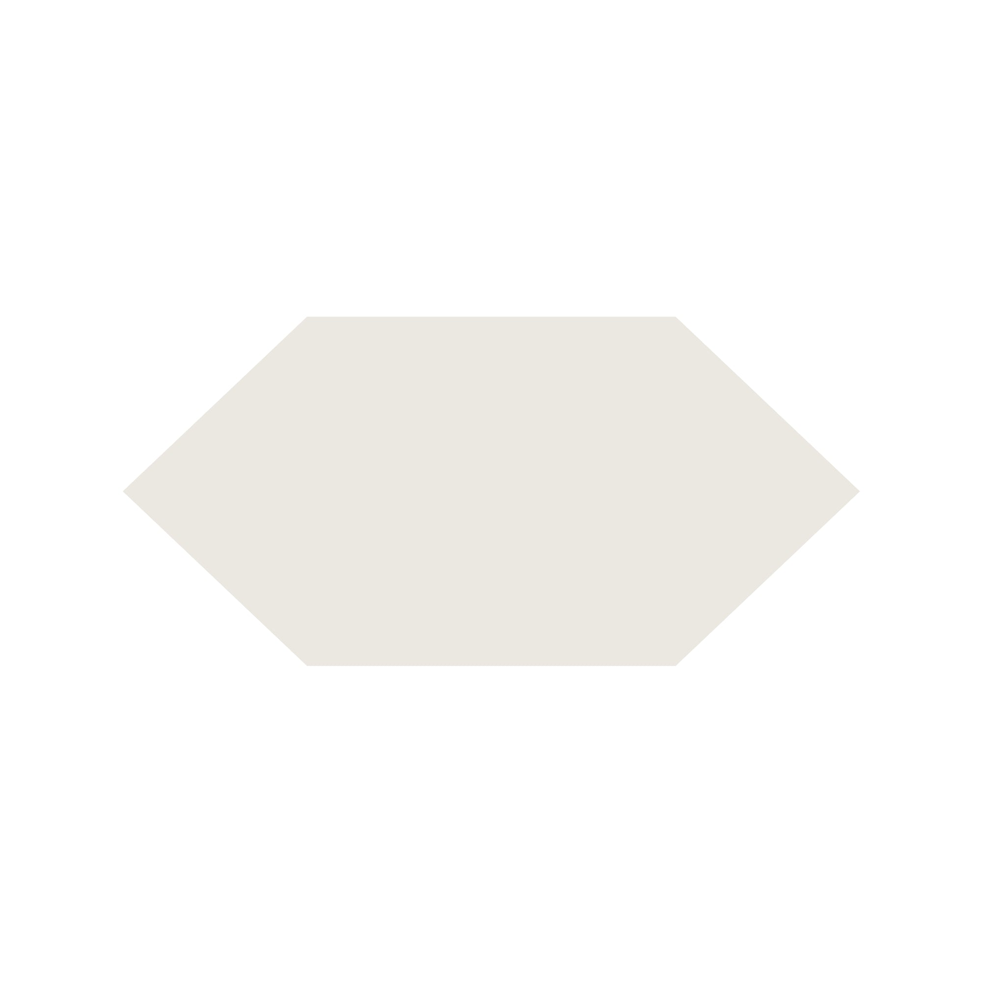 Shuttle Hexagon Tile in Super White
