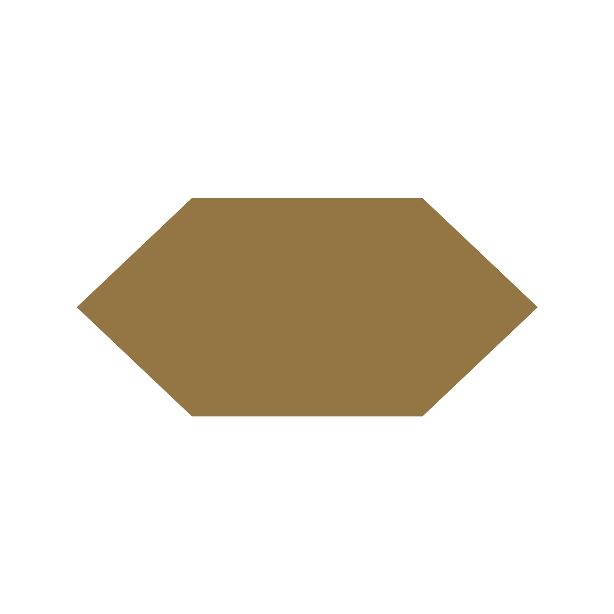 Shuttle Hexagon Tile in Toffee