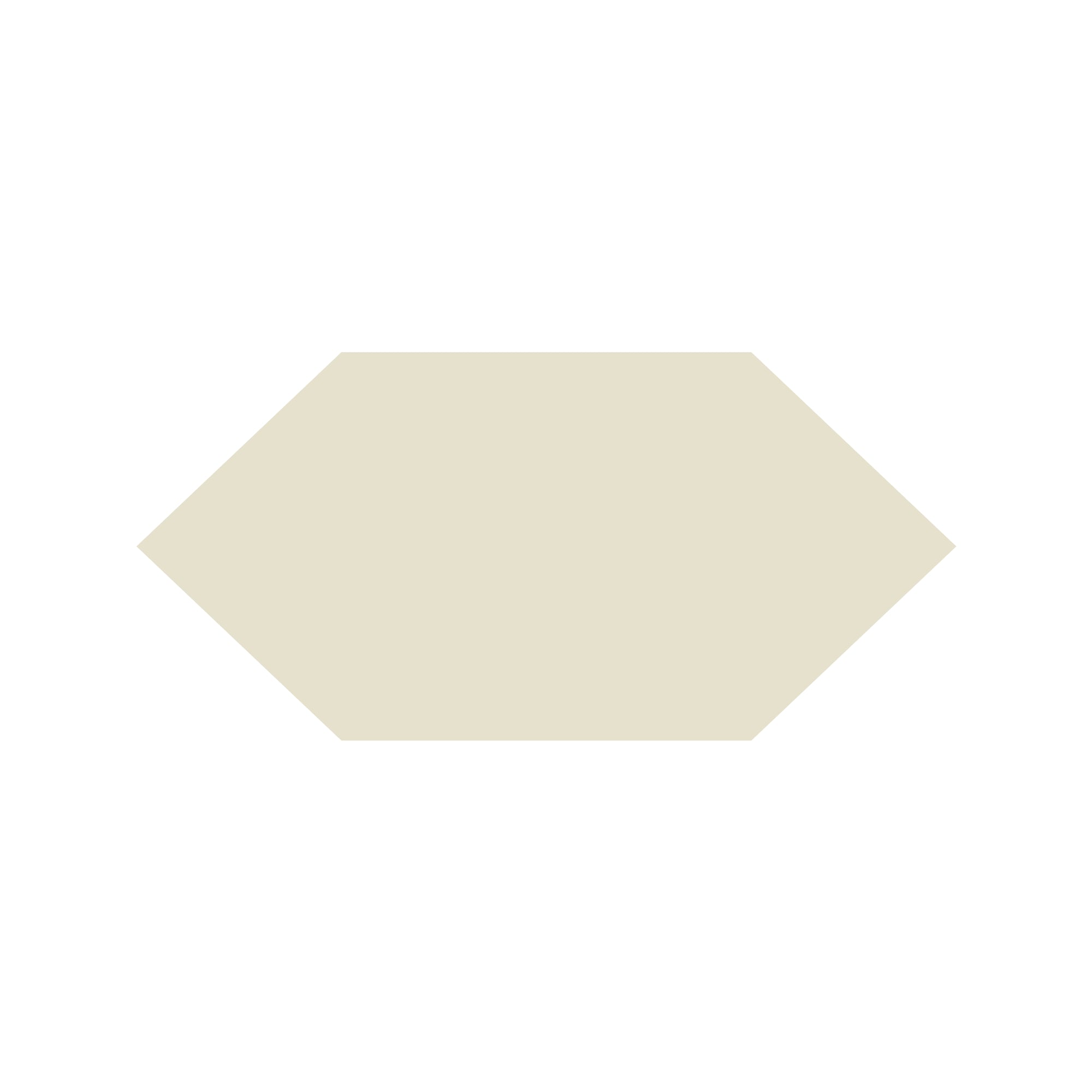 Shuttle Hexagon Tile in White