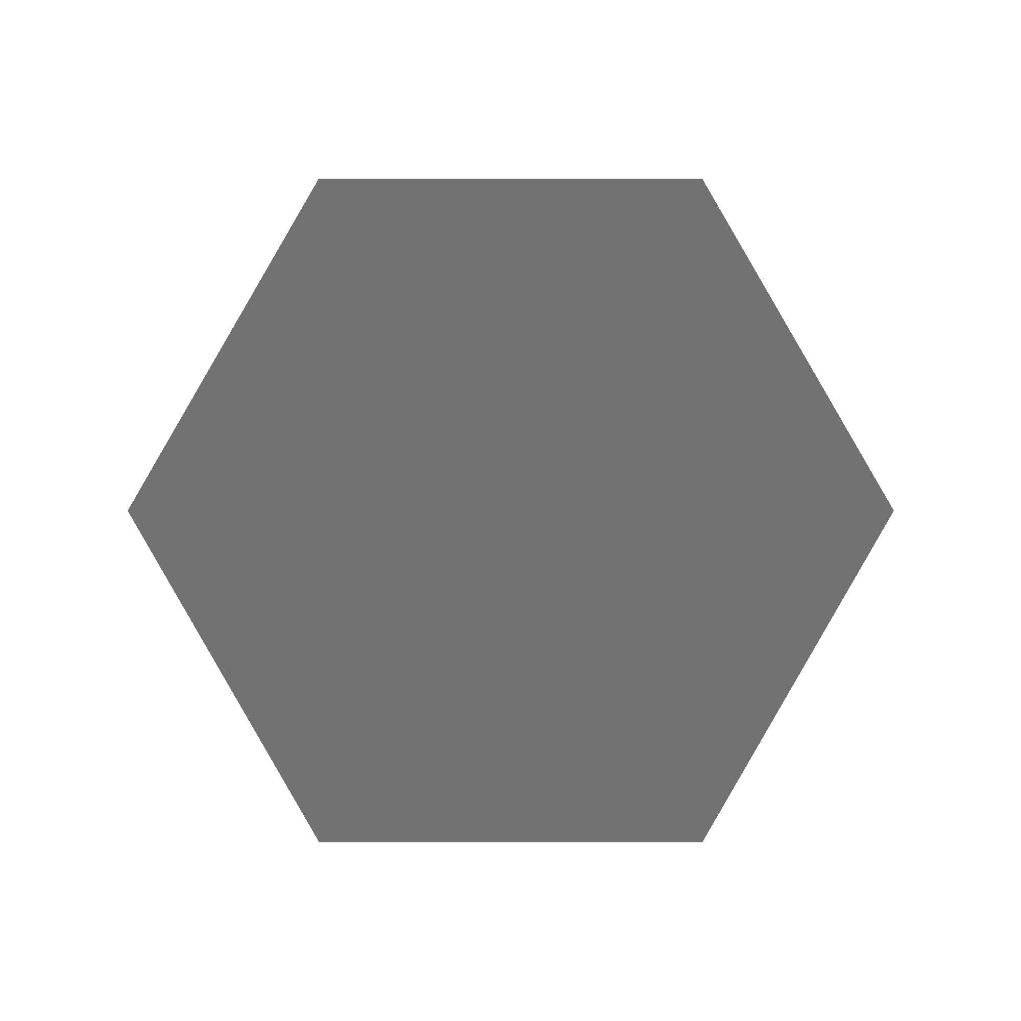 Equilateral Hexagon Tile in Slate