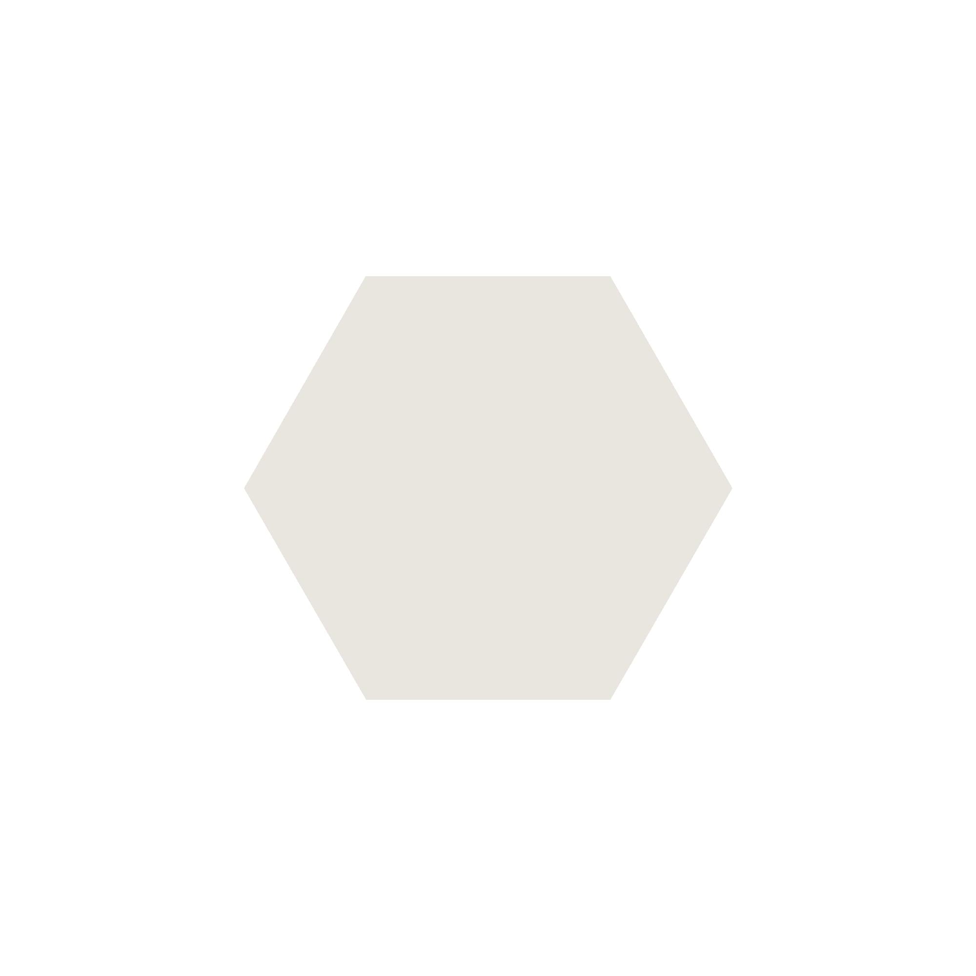 Equilateral Hexagon Tile in Super White