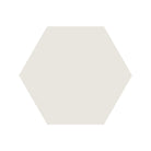 Equilateral Hexagon Tile in Super White
