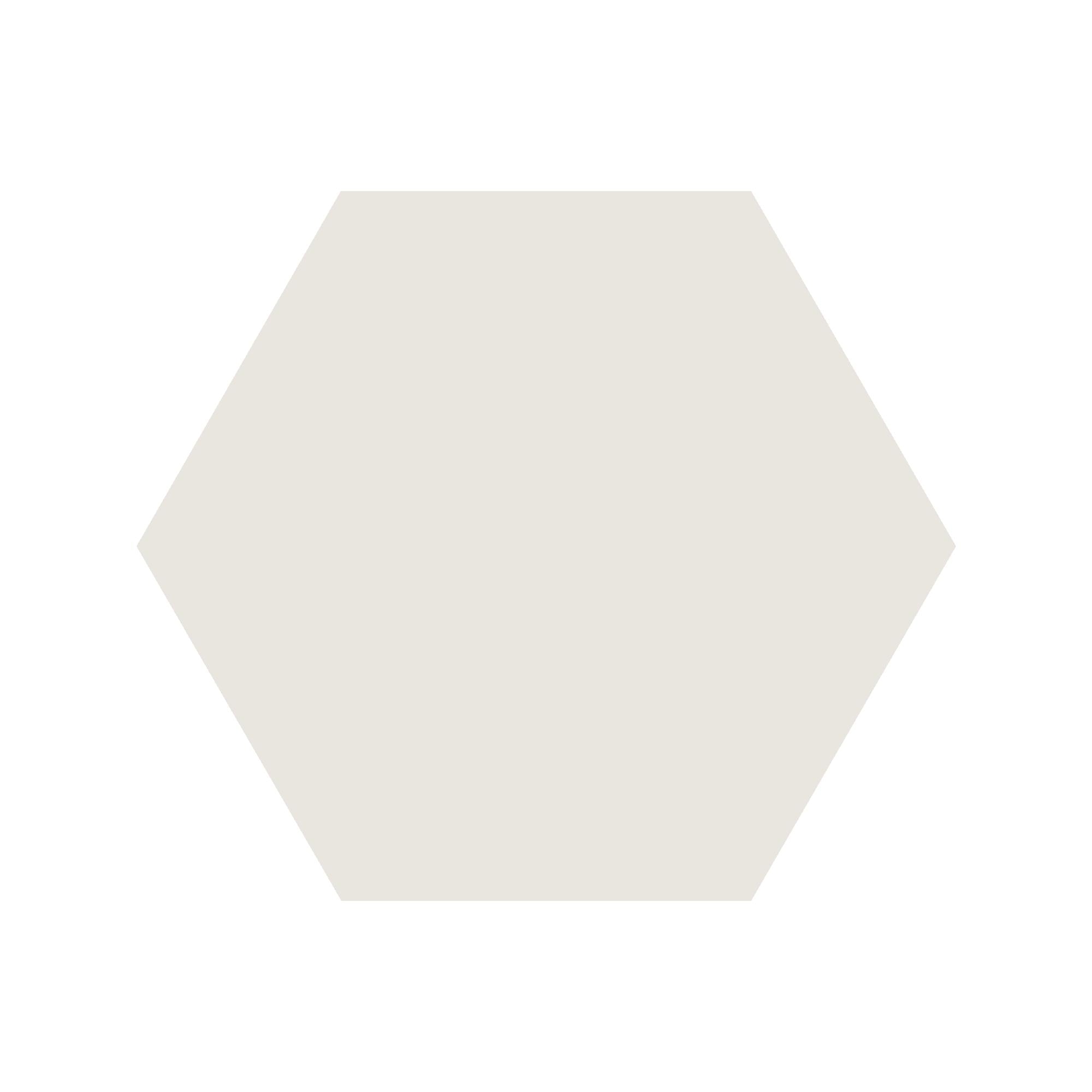 Equilateral Hexagon Tile in Super White