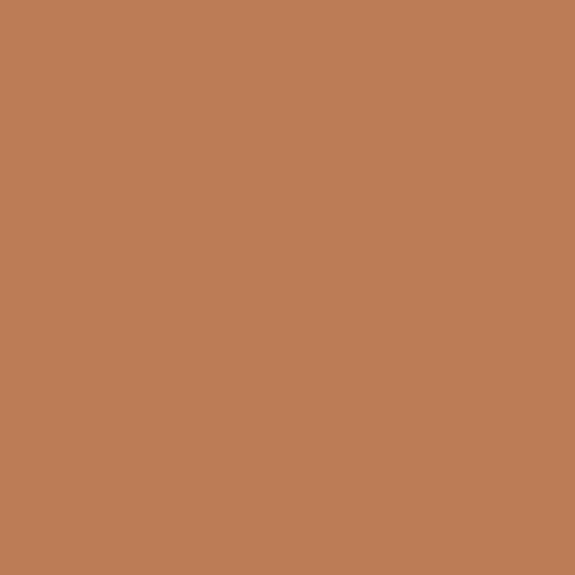 Little Greene's Tan Tan Paint
