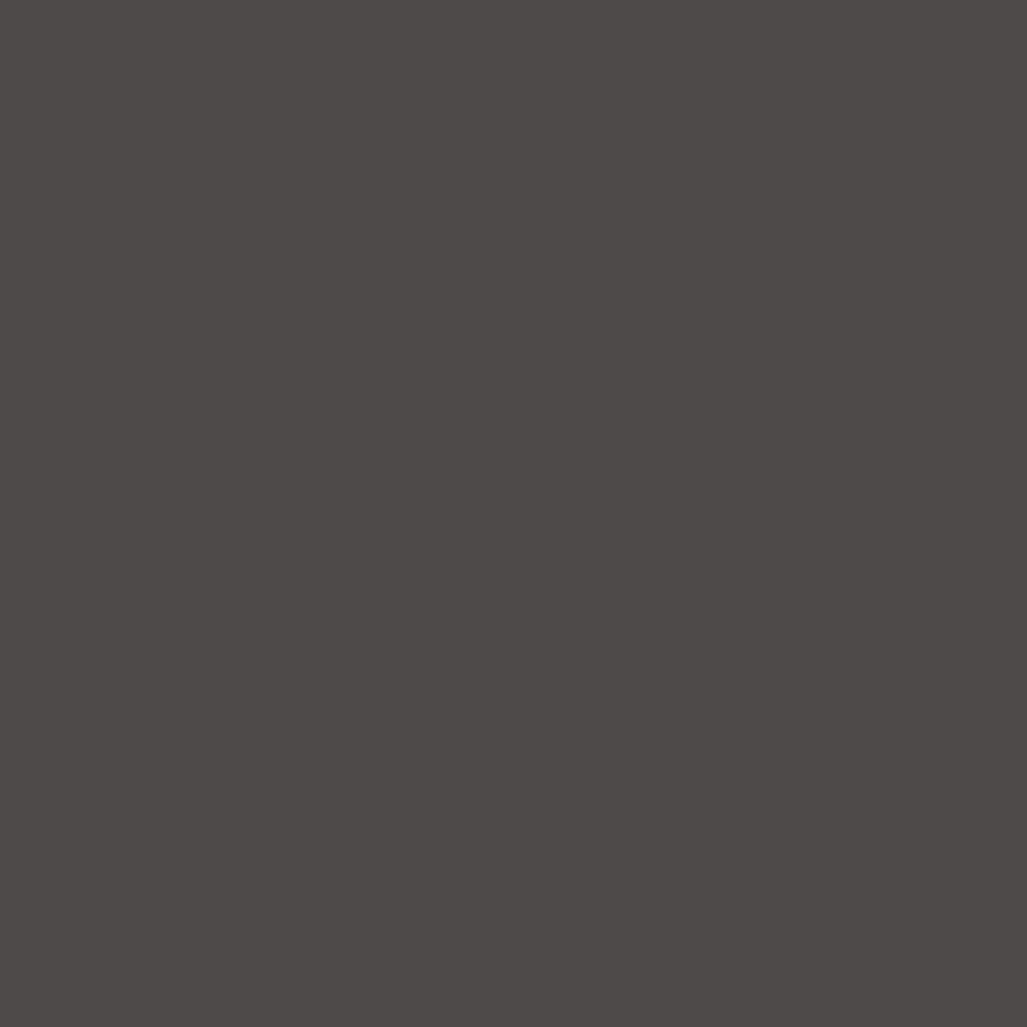Farrow and Ball's Tanners Brown No.255