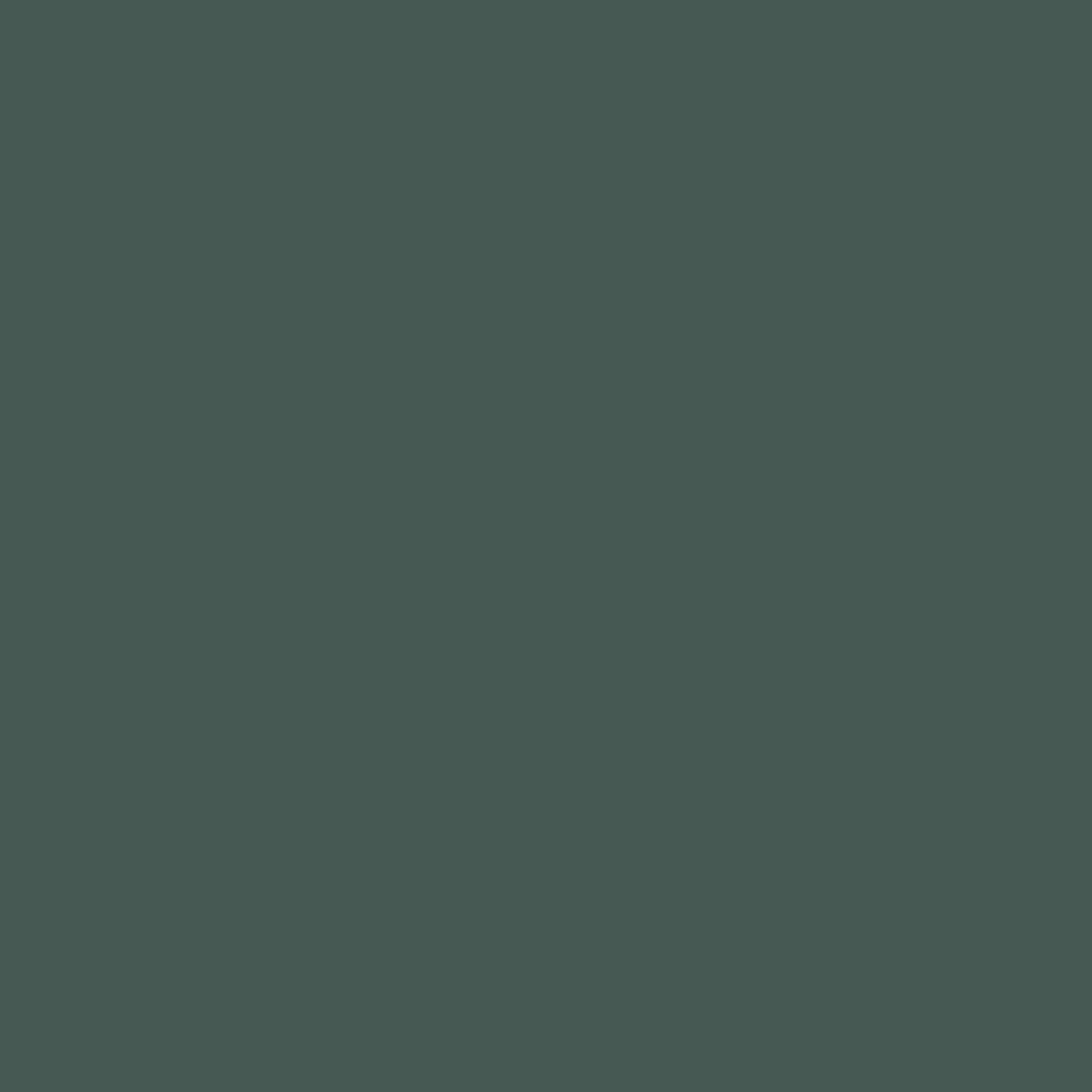Little Greene's Three Farm Green™ No.306