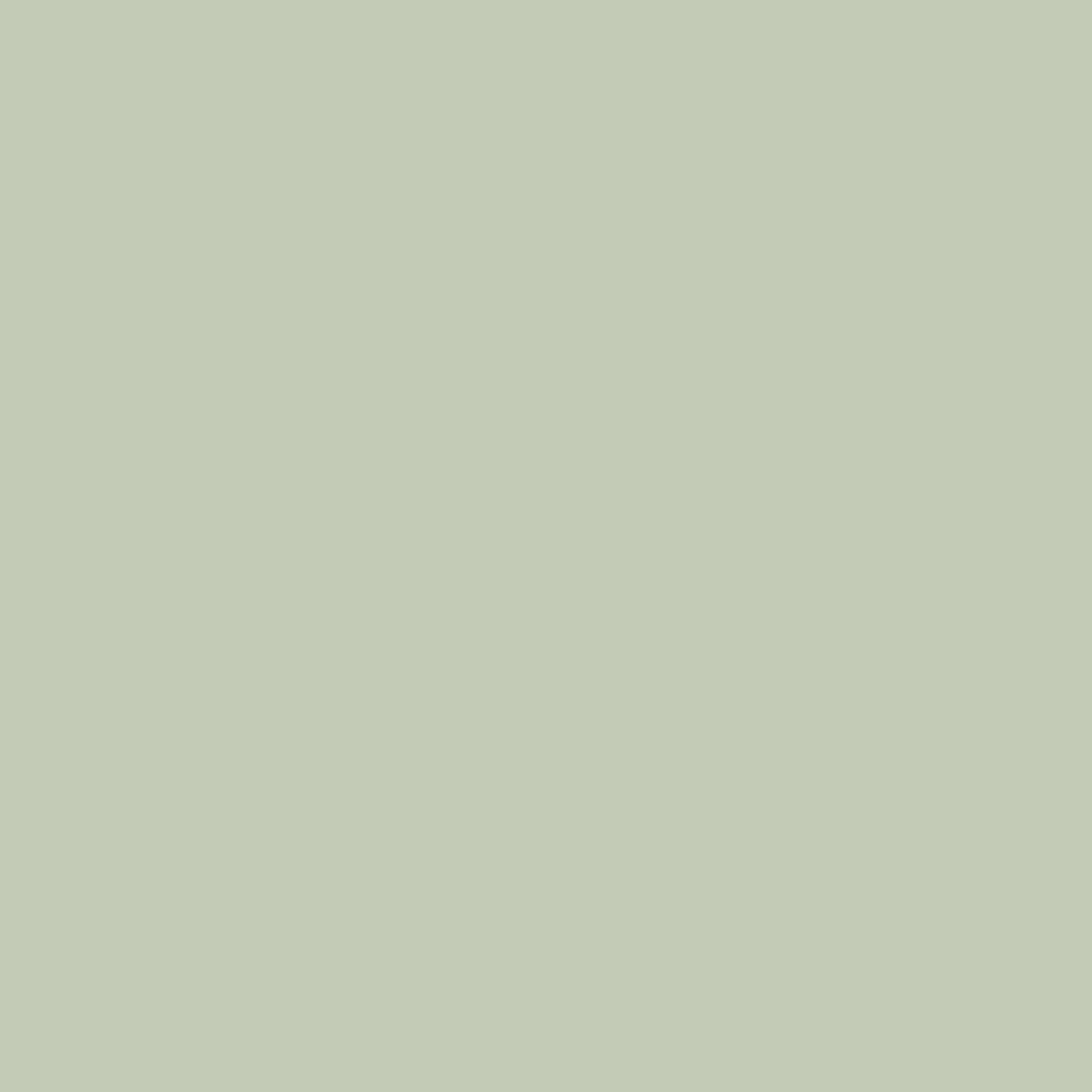 Little Greene's Tracery Paint