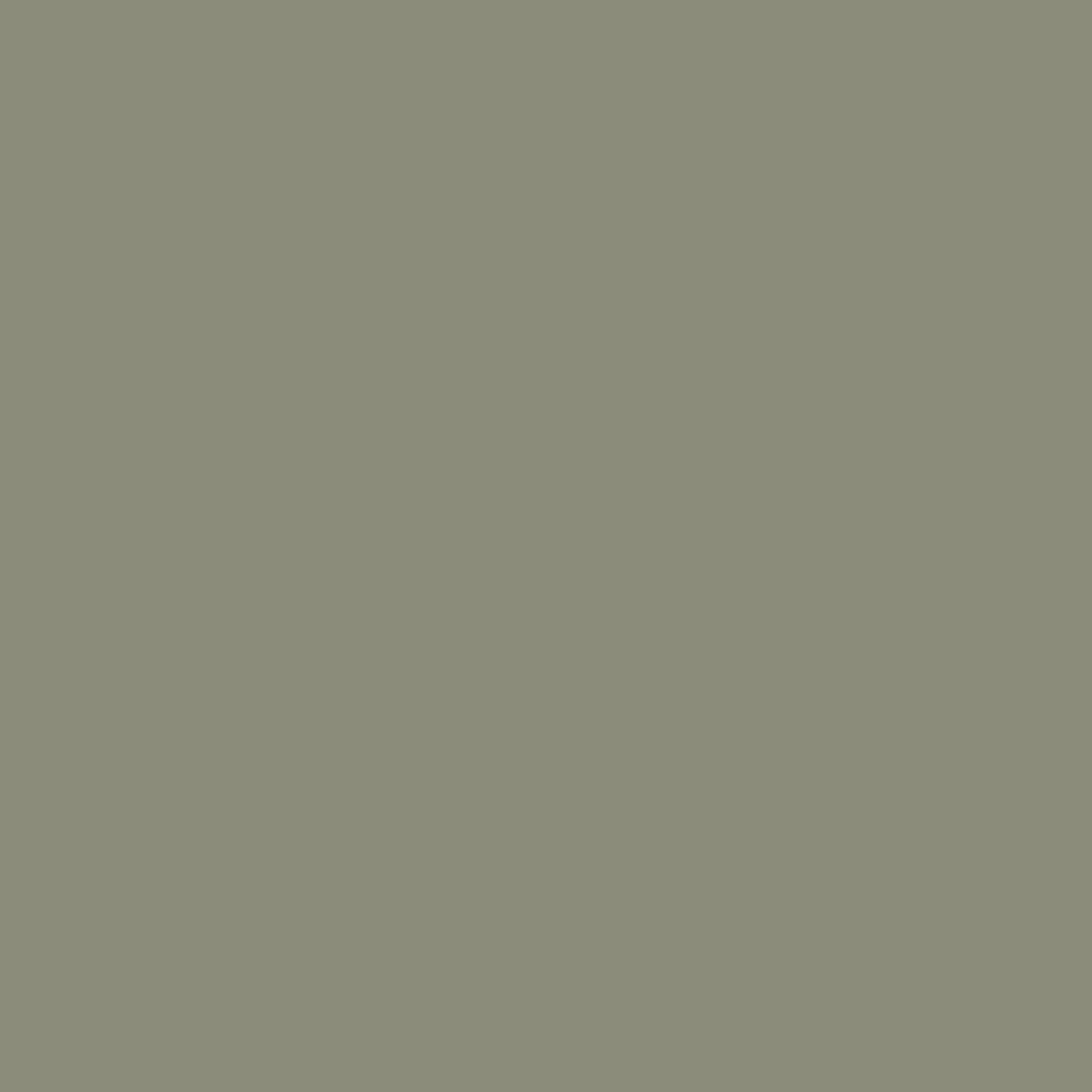 Farrow and Ball's Treron No.292