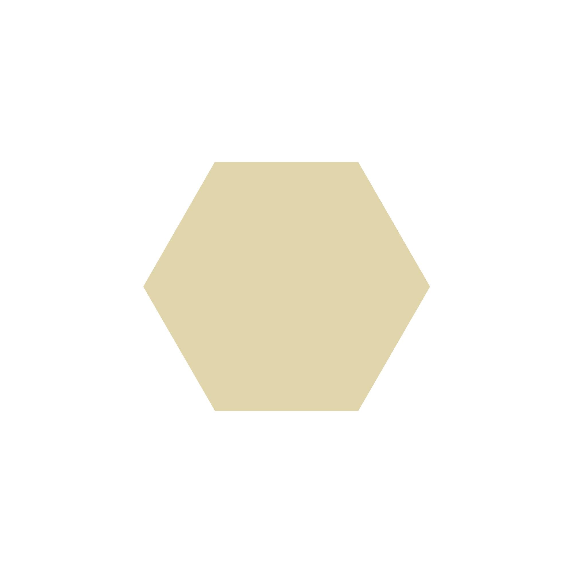 Equilateral Hexagon Tile in Vanilla