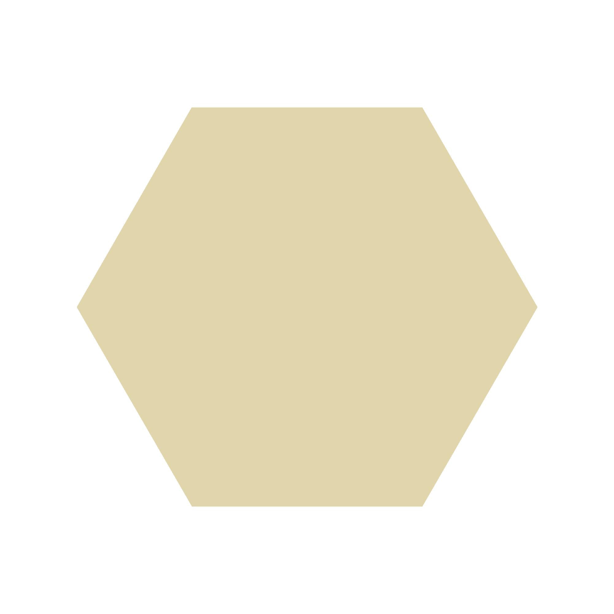 Equilateral Hexagon Tile in Vanilla