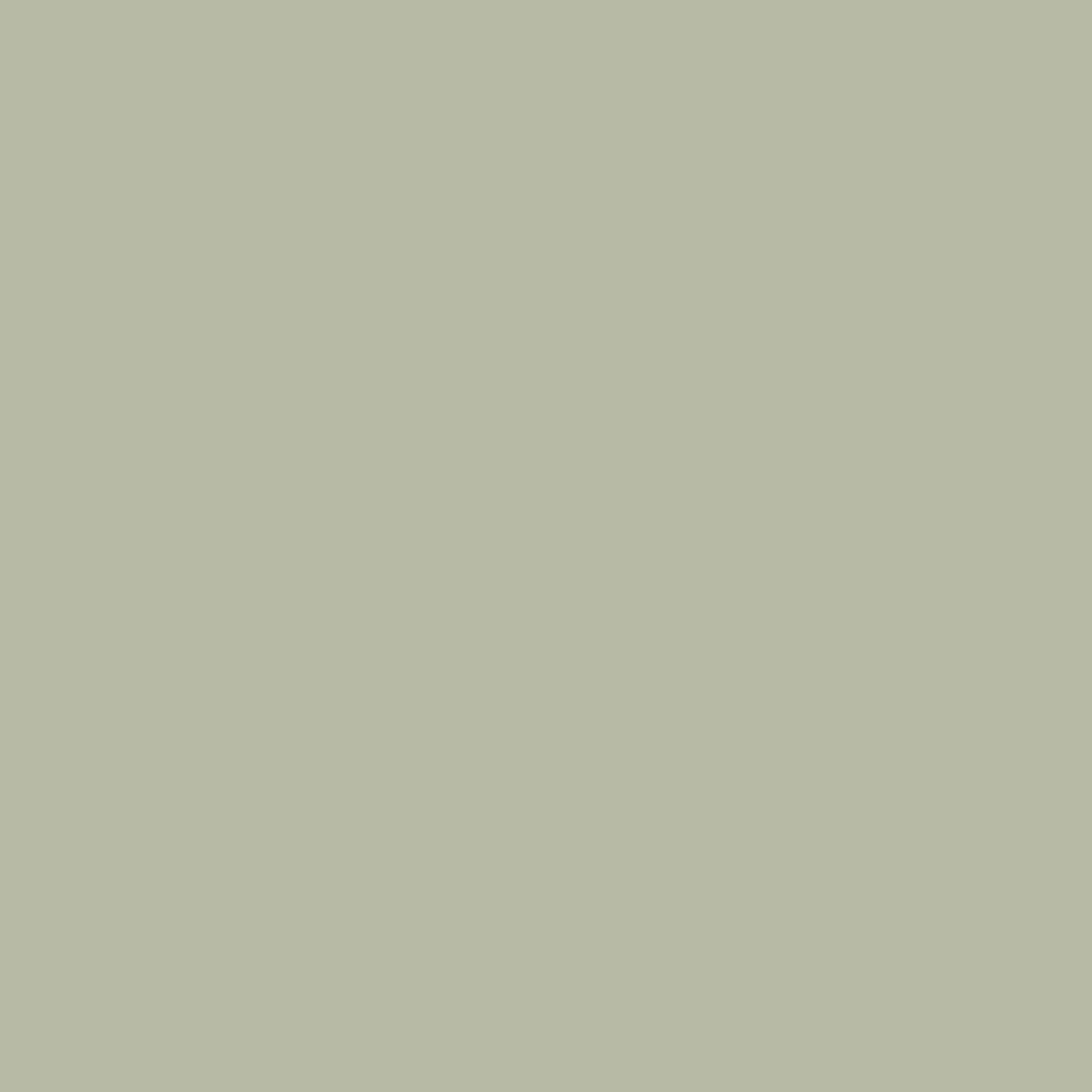 Farrow and Ball's Vert de Terre No.234