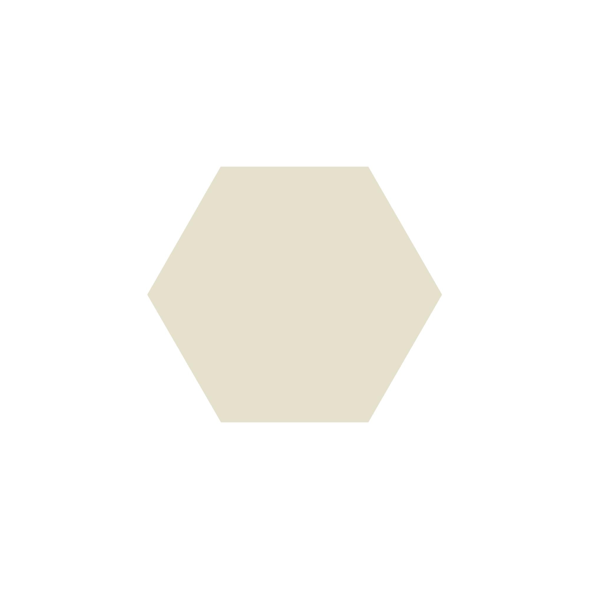 Equilateral Hexagon Tile in White