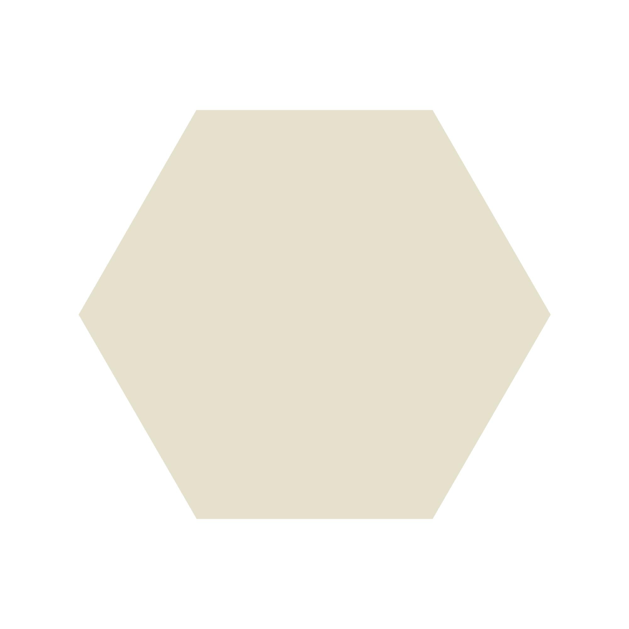 Equilateral Hexagon Tile in White