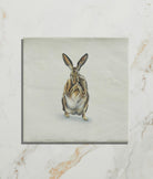 Ca'Pietra's Wiltshire Hares Ceramic Tiles by Joanna May